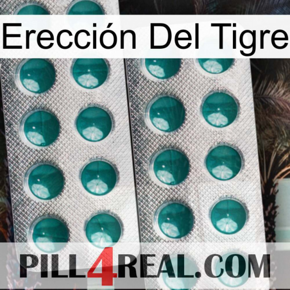 Erección Del Tigre dapoxetine2.jpg